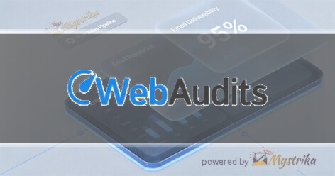 Web Audits