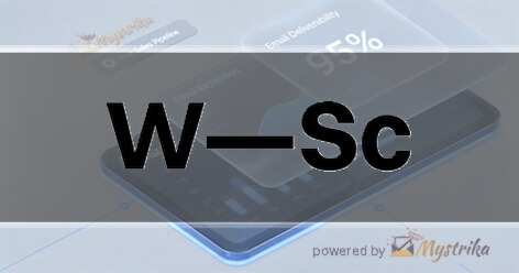 Web Scandinavia Agency logo