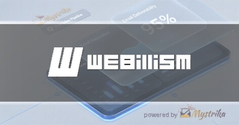 Webillism Website Design Company Agency logo