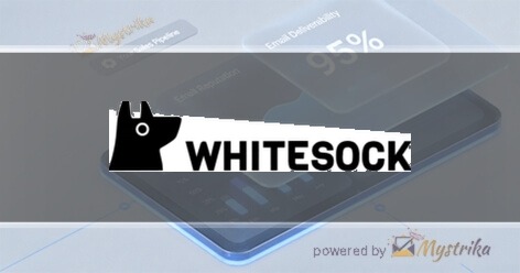 WhiteSock Srl Agency logo