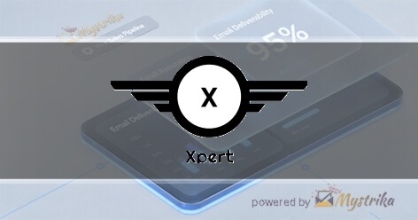 Xpert SEO Team