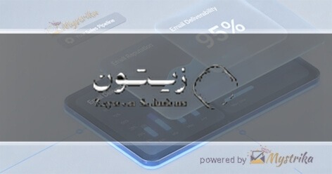 zeytoon solutions | راهکارهای رشد دیجیتال زیتون