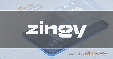 zingy projects